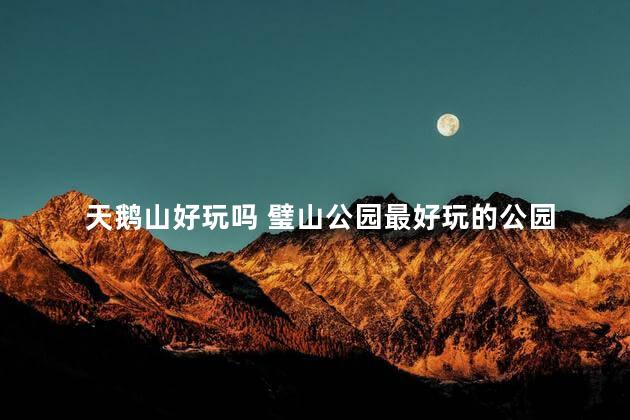 天鹅山好玩吗 璧山公园最好玩的公园